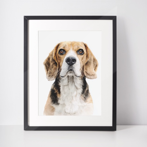 Watercolor Beagle Portrait Wall Art Print Poster, Unframed - Pet Artwork - Picture 3 of 5